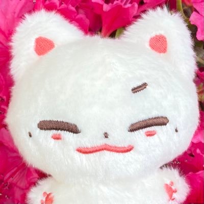 matthewfox_xx's profile picture. ZB1 제로베이스원 #석매튜 / G.O=DM