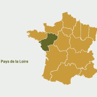 Visuel LSF Pays de la Loire(@LsfPays) 's Twitter Profile Photo