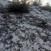 cai chu ❤️ Memecoin (@caichu4) 's Twitter Profile