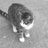 Sarahkate1957's profile image