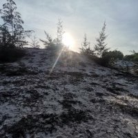 linh doan ❤️ Memecoin (@linhdoa79) 's Twitter Profile