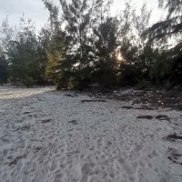 an do ❤️ Memecoin (@andoi36) 's Twitter Profile