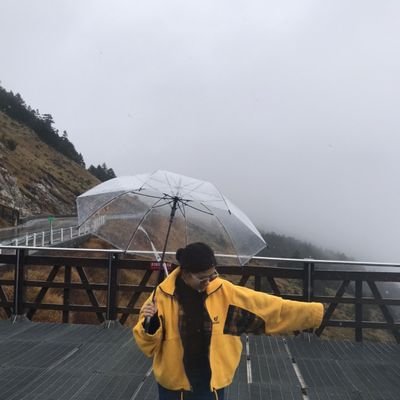 NikitaMaisnam's profile picture. Just minding sapien things.