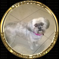 Jonnie D (@jonnied16) 's Twitter Profile