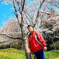 fury ishikawa (@fury_ishikawa) Twitter profile photo