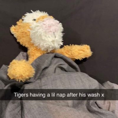 Sandra Domzalska Profile