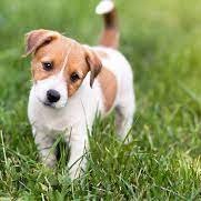 giang01234569's profile picture. 💙