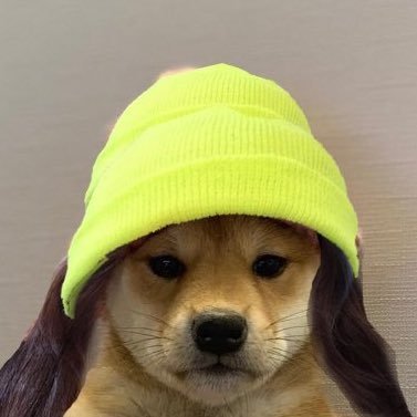 drougen's profile picture. 