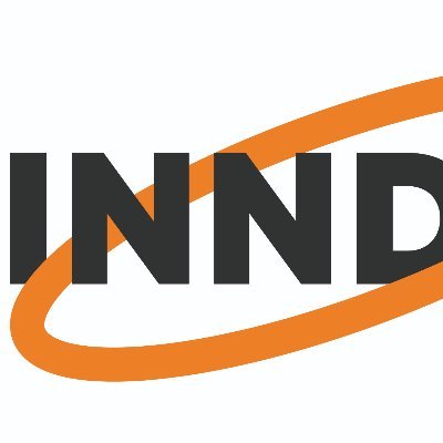 INNDIH Project Manager at RUVID