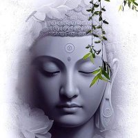 Santosh Meena (@santosh80968478) 's Twitter Profile