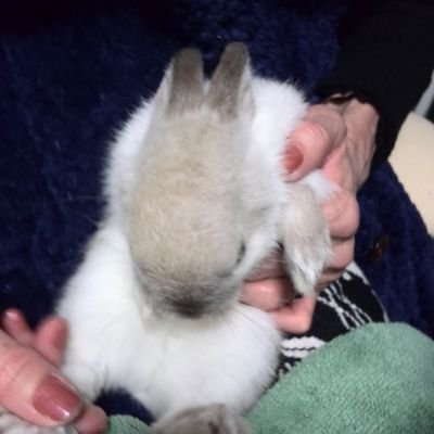 wWzAjAd2OkRsfie's profile picture. 