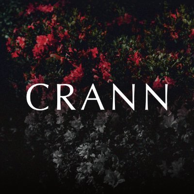 melodic & abrasive band based in Tokyo / Kanagawa, Japan. | Booking & Contact : DM or WebSite. | Ticket : https://t.co/tV7UOPxSQY | Store : @malletmusicjp