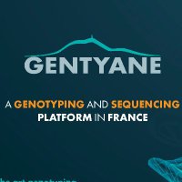 Gentyane (@gentyane) 's Twitter Profile