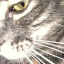 Jasmine Shipp - @JasmineShi26198 - Twitter