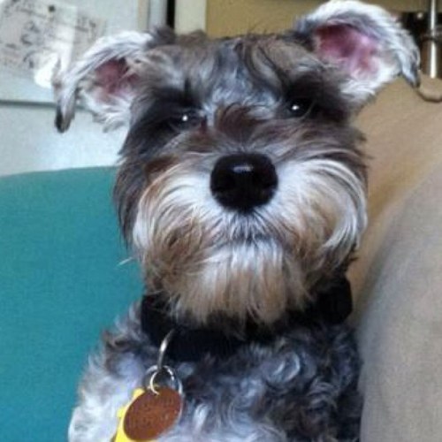 LindseyGlufshaw's profile picture. 