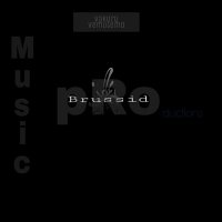 BrussiD The pRoducer (@brusseldewa) 's Twitter Profile