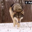 Ed Miranda - @EdMiranda3 - Twitter