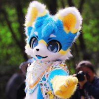 是纸鹤呀 (@shizhiheya) 's Twitter Profile