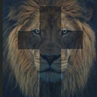 Truth Seeker (@truthse28988668) 's Twitter Profile