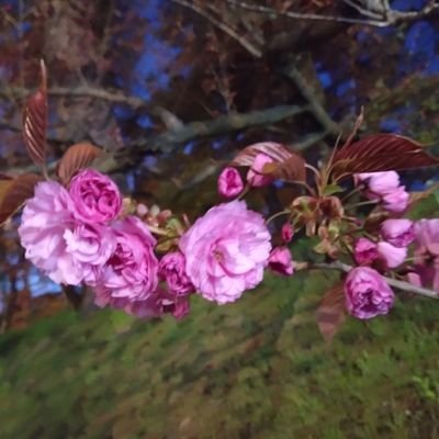 zHDsXo4JhCS1LQe's profile picture. 大宮の路上ライブで2人の美声にはまったスパ坊です❤年も考えず追っかけをしていますが、スパボの曲と🙂は、私の元気の元😃✌嫌なこともぶっ飛んでしまいます～✌️