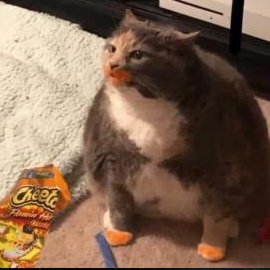 Blester77x's profile picture. 