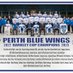 Perth Blue Wings (@PerthBlueWings) Twitter profile photo