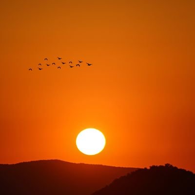 erdinckya34's profile picture. Allahu Ekber 🇹🇷☝️