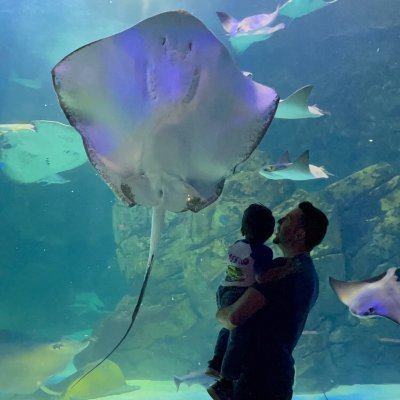 zeeburger82's profile picture. 