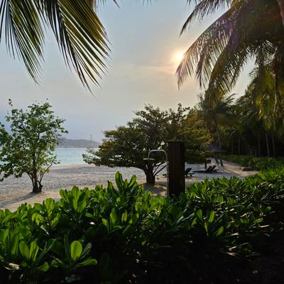 radical82's profile picture. 