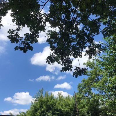 rizzy_space's profile picture. 혼자 아주 편하게 주절거리는 곳