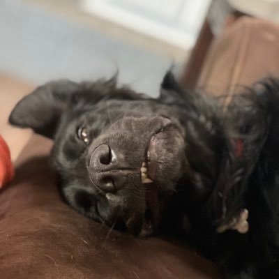 Jordy_Jord_'s profile picture. 