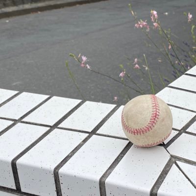 baseball_mg_60's profile picture. '06 かながわ106→かんさい 硬式野球部マネージャー⚾︎