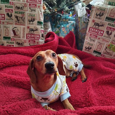 MuminAbdul8324's profile picture. 