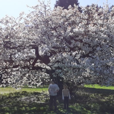 susieyarm's profile picture. 