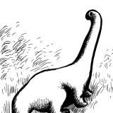 toenailcritic's profile picture. like/retweet=Collecting reading material