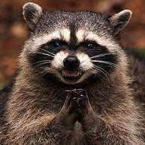 RosePar91651019's profile picture. 