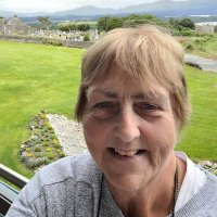 Maura Murphy (@mauramurphymm) 's Twitter Profile
