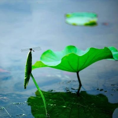 yawen_you95's profile picture. 