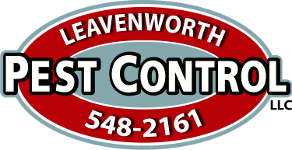 Full-service Pest Control (all insects, rodents and more), Real Estate Inspections, Dry Rot Inspection & Repair. #Chelan