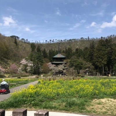 7VMcsEU2ZukHw04's profile picture. 