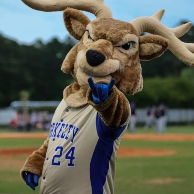 Staggy, The Legend of Berkeley High School. Follow on all social media @StaggyBHS. Tag or send us your Stag events or pics with Staggy to be shared.