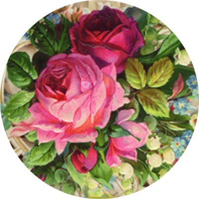 ミハエルネグリン Japan【公式】 (@MichalNegrinJPN) / Posts / X