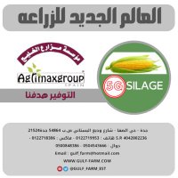 🌽SAUDI SILAG🌽 (@agrimaxseeds) Twitter profile photo