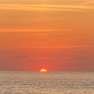 bulbaz0re's profile picture. 