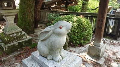 RrwpKfDbgi84150's profile picture. デュエマやってます にわかオタク
