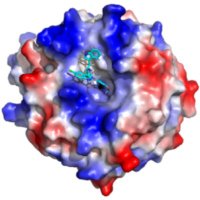 NRF2LabIIBm (@nrf2labiib) 's Twitter Profile Photo NRF2LabIIBm (@nrf2labiib) 's Twitter Profile Photo