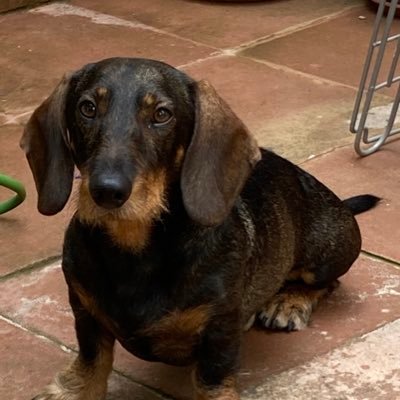 luisarenas_'s profile picture. 