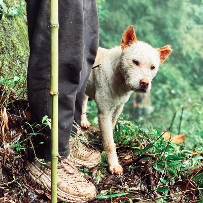 junliu1548680's profile picture. ：对于一个种务农的人来说最重要的是什么呢？
：阳光和雨水，再加上一颗温柔善良的心。