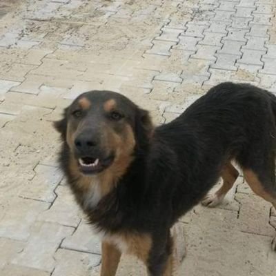 Gune25739Gunel's profile picture. Hepsi gelır geçer