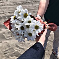 Dilarakdr (@dtpcukdr) Twitter profile photo